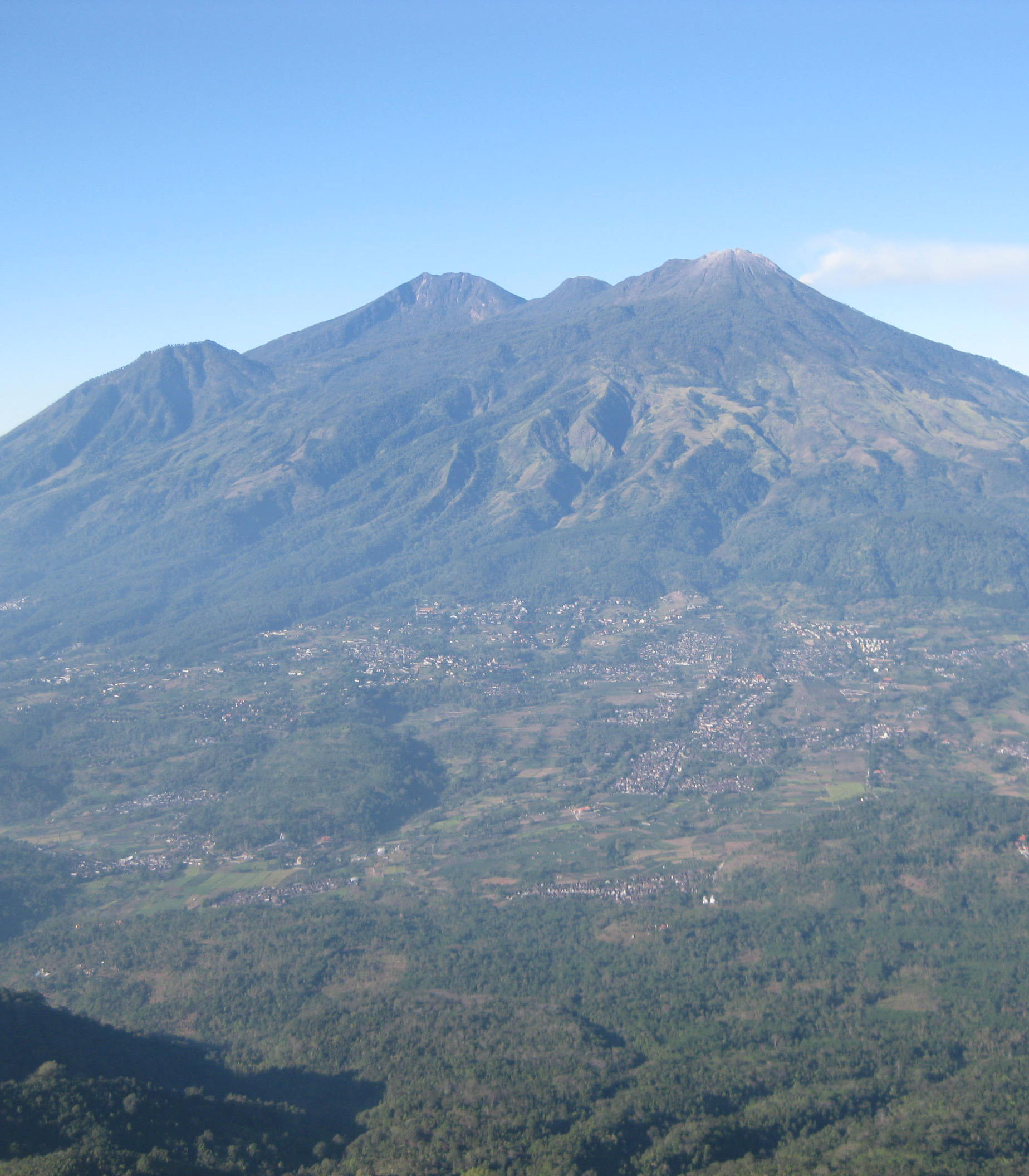 Surga di Ketinggian: Menjelajahi Keindahan Lereng Gunung Arjuno-Welirang, Jantung Wisata Pasuruan